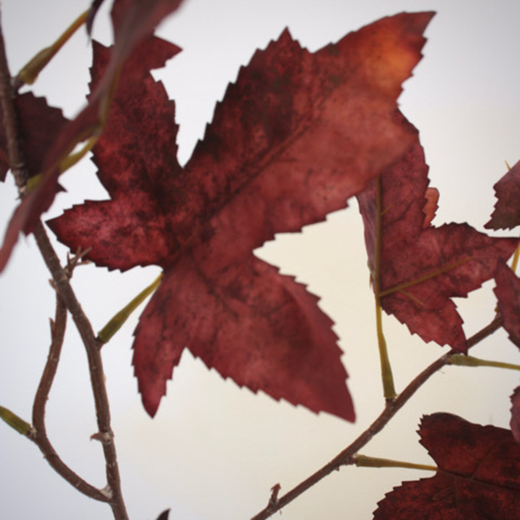 HERFST BLADTAK | BORDEAUX | 67 CM