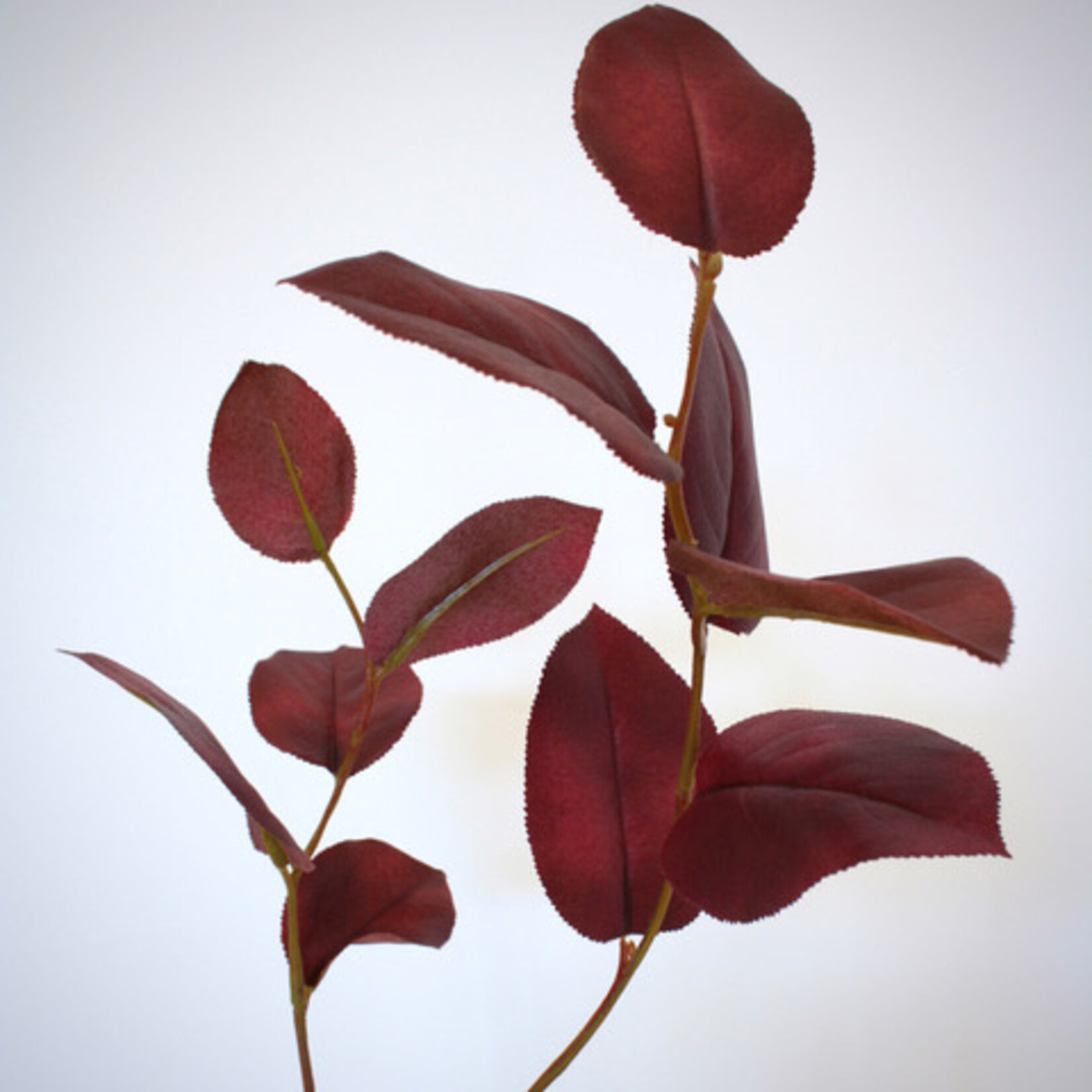 APPELBLAD | ROOD | 75 CM