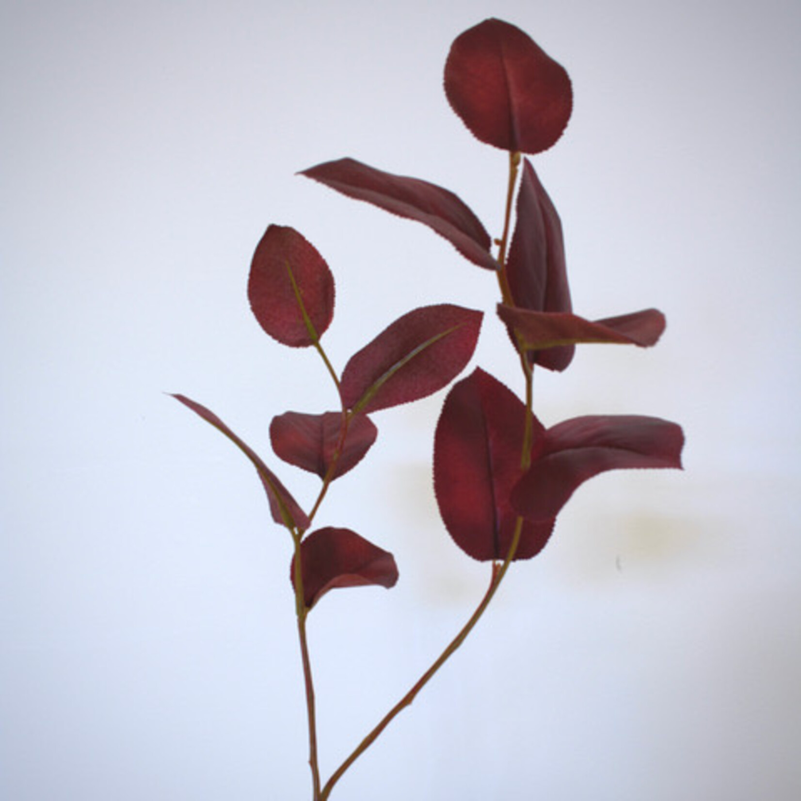 APPLE LEAF | RED | 75 CM