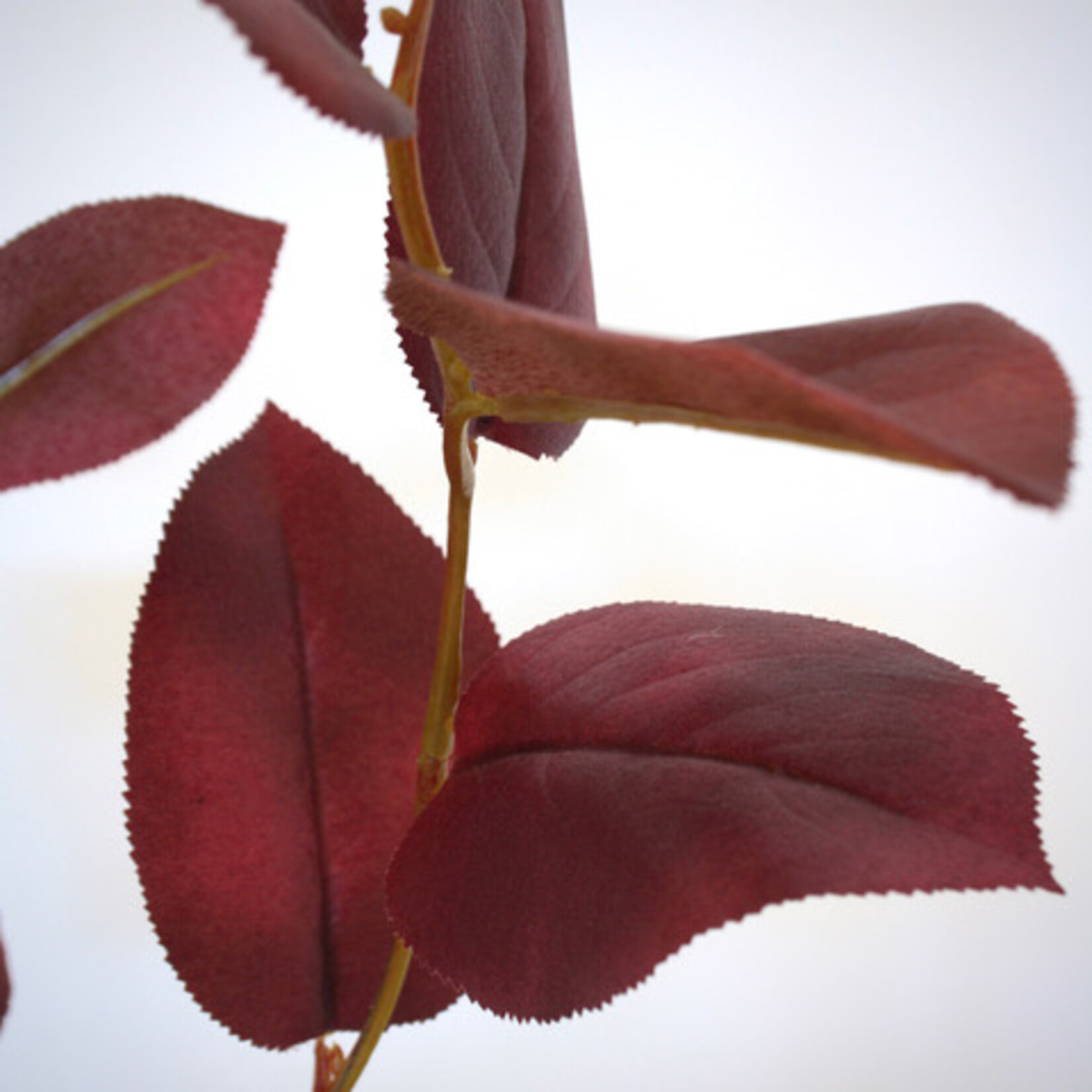 APPLE LEAF | RED | 75 CM