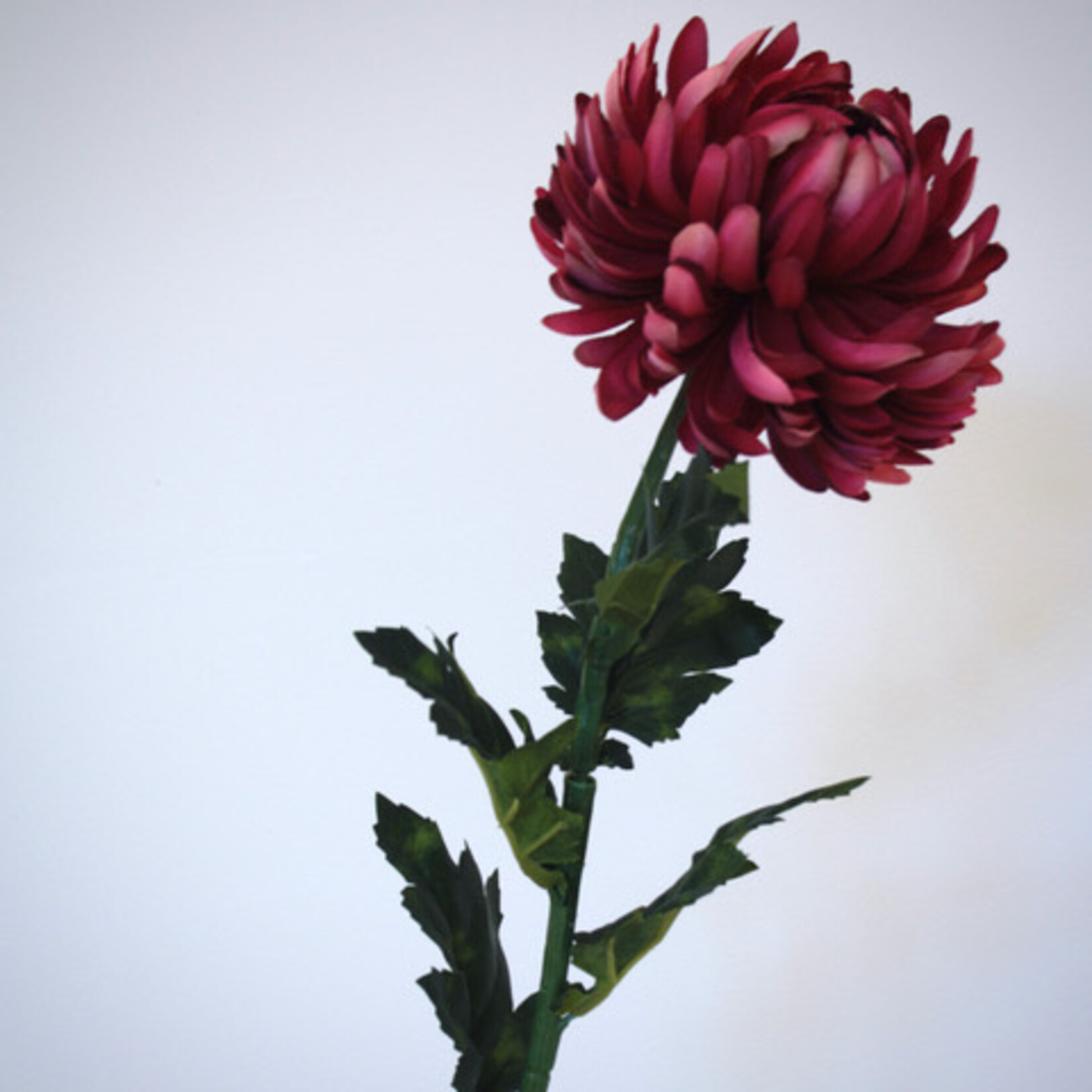 CHRYSANT FUCHSIA | ROZE | 60 CM