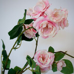 TROSROOS | ROZE | 89 CM