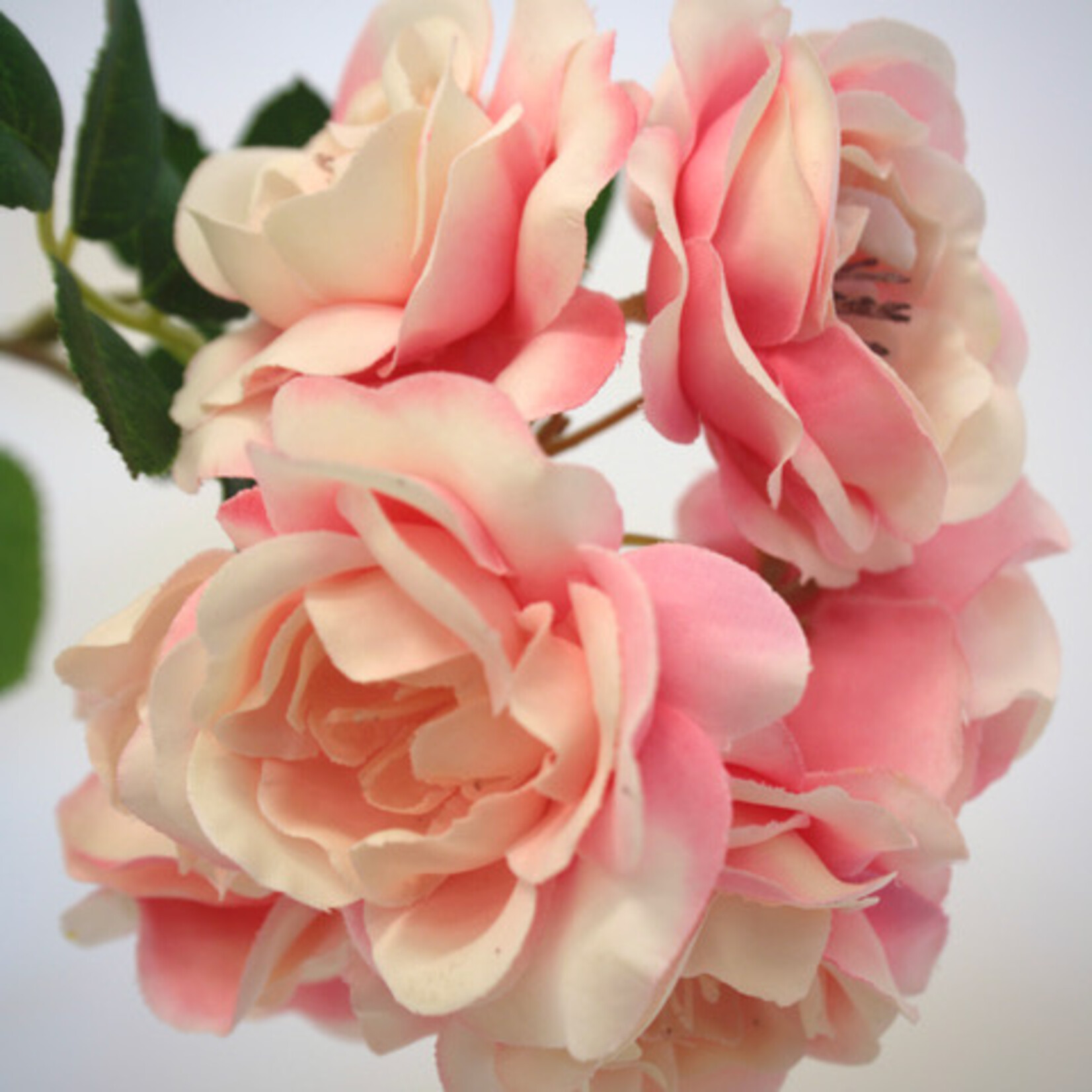 TROSROOS MEILOVE | ROZE | 89 CM