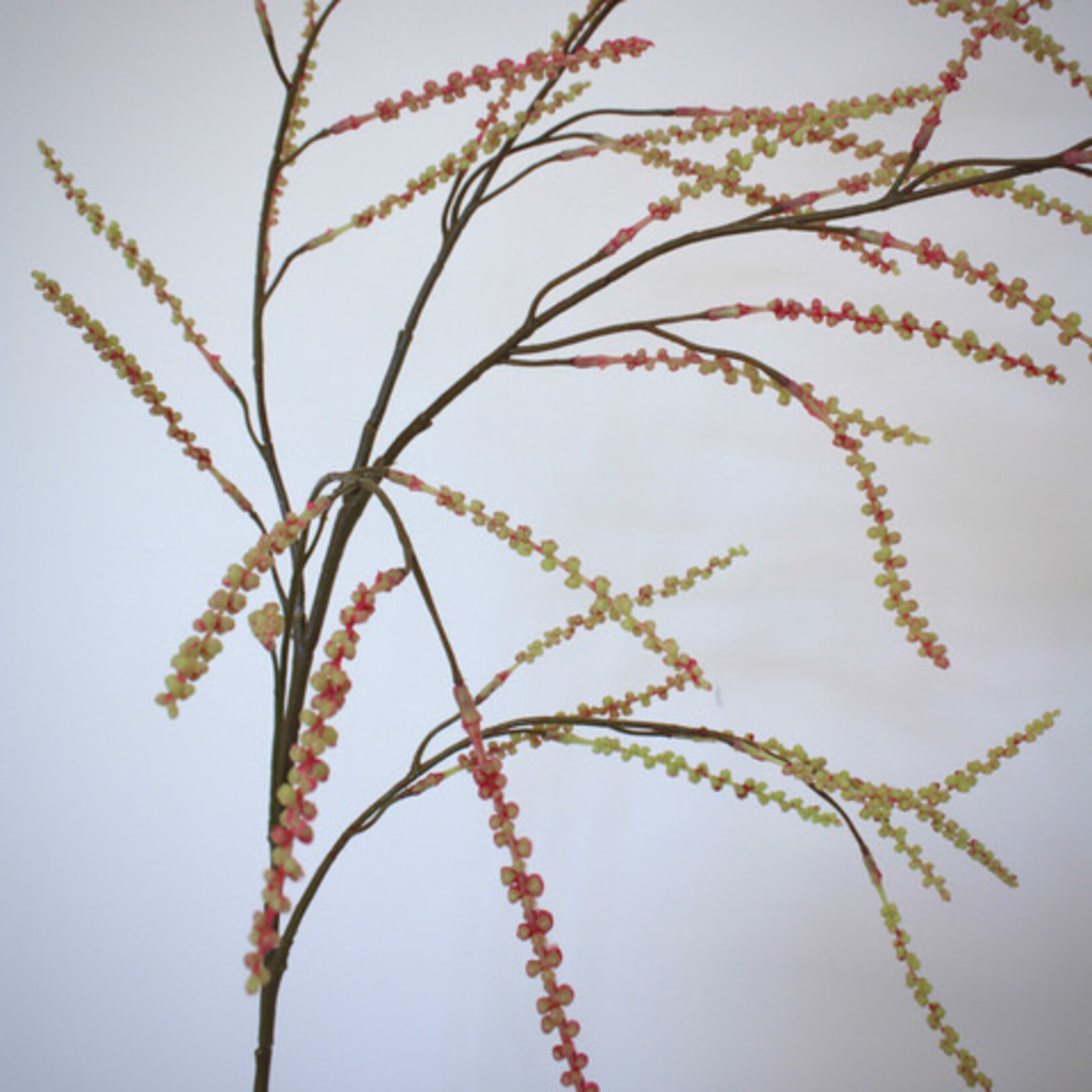 ASTILBE | ORANJE | 100 CM