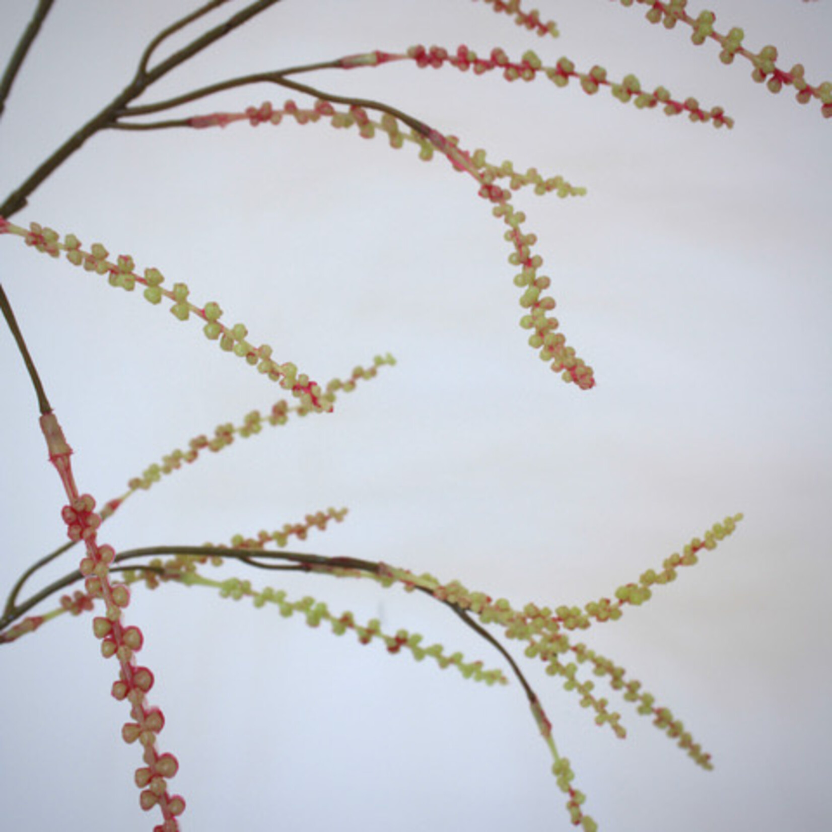 ASTILBE | ORANGE| 100 CM