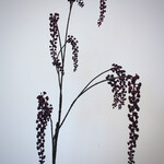 PHYTOLACCA | PAARS|  94 CM