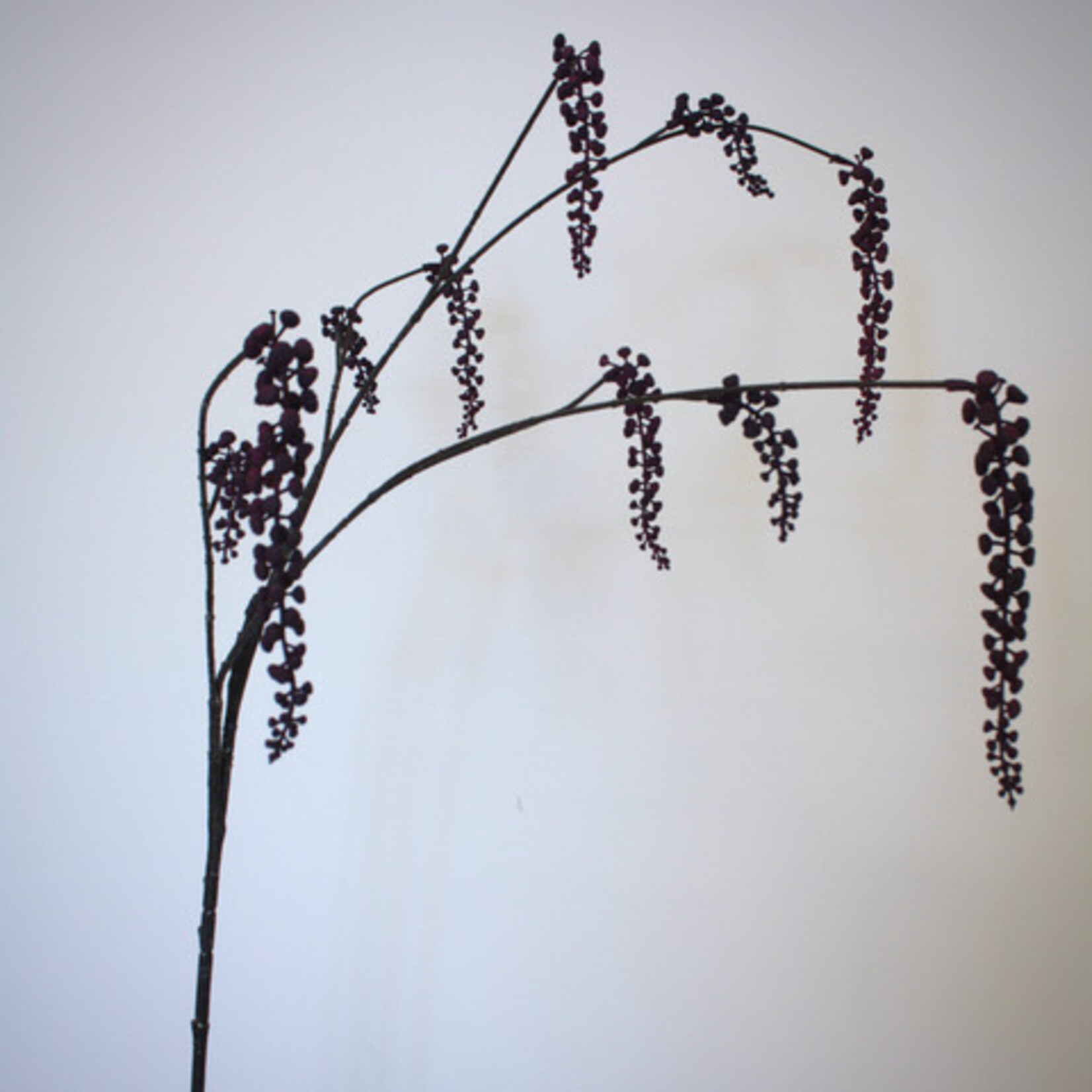 BERRY  SPRAY PHYTOLACCA | PURPLE | 94 CM