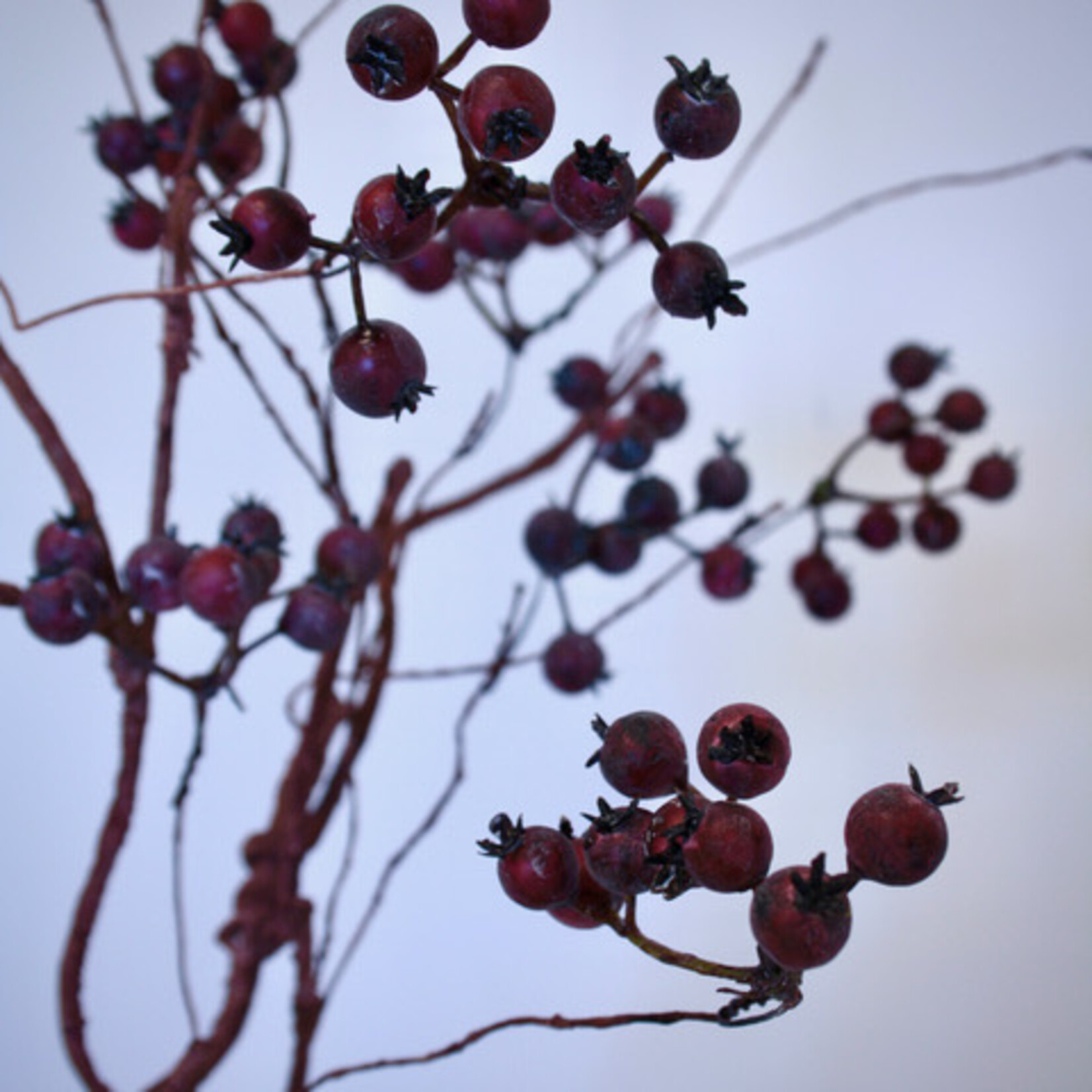 BERRY  SPRAY | RED| 55 CM