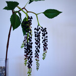 BERRY BRANCH HANGING | BURGUNDY | 75 CM