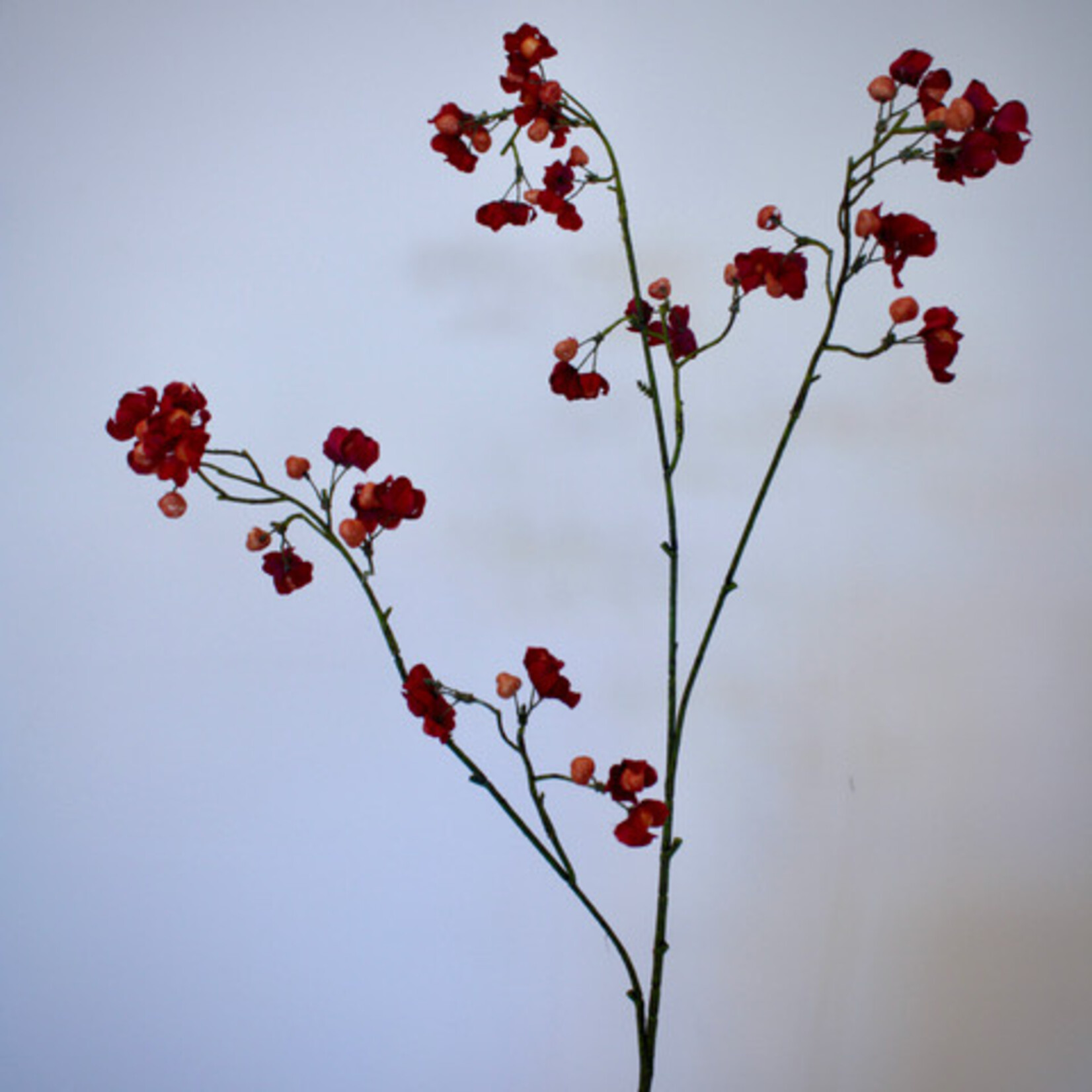 BERRY  SPRAY BITTERSWEET | RED | 90 CM