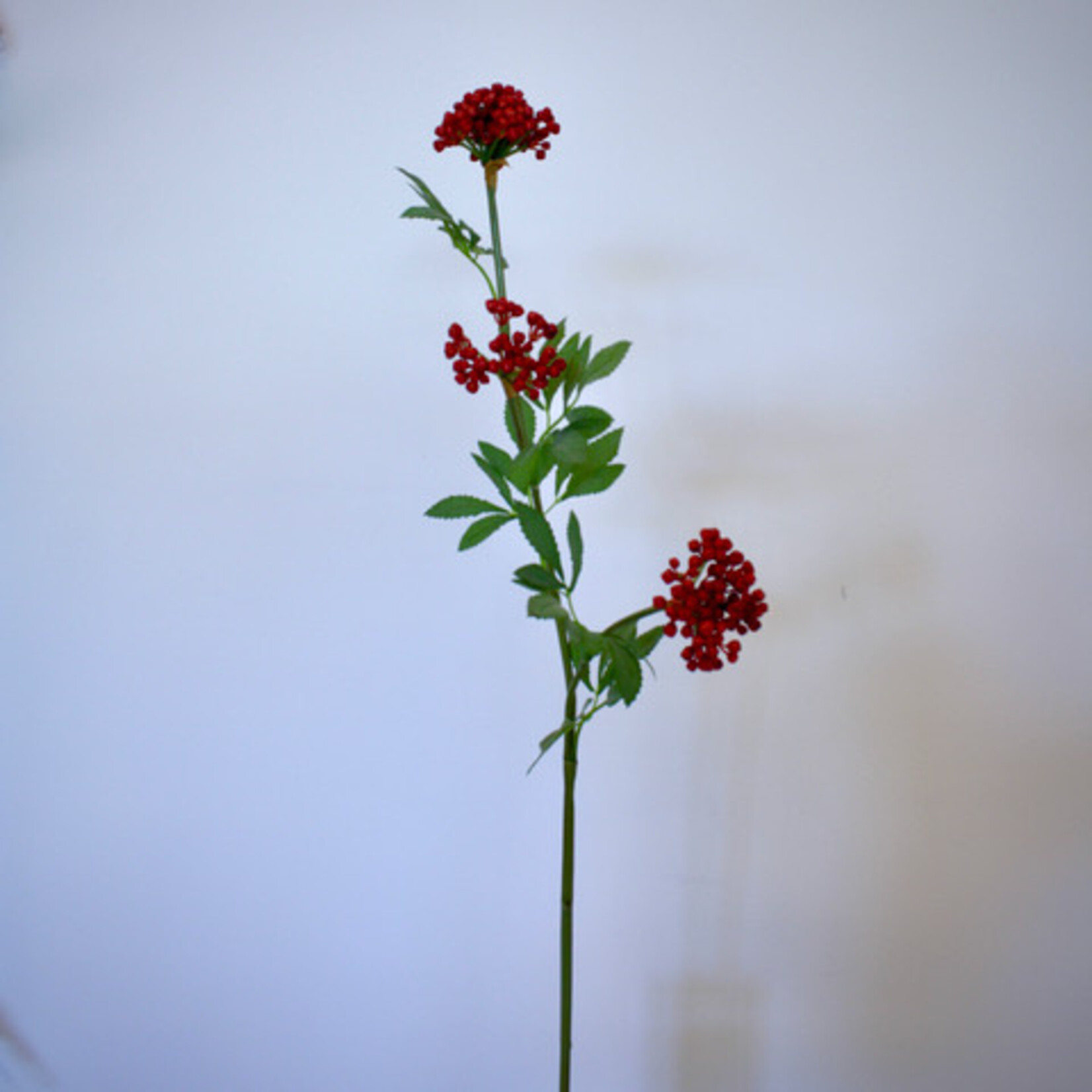 BESSENTAK | ROOD |  80 CM