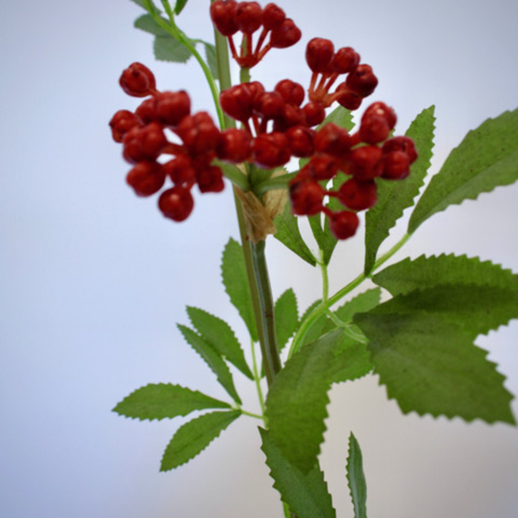 BERRY  SPRAY | RED | 80 CM