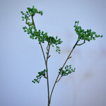 BERRY  SPRAY | GREEN | 63 CM