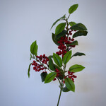BERRY  SPRAY | RED | 88 CM