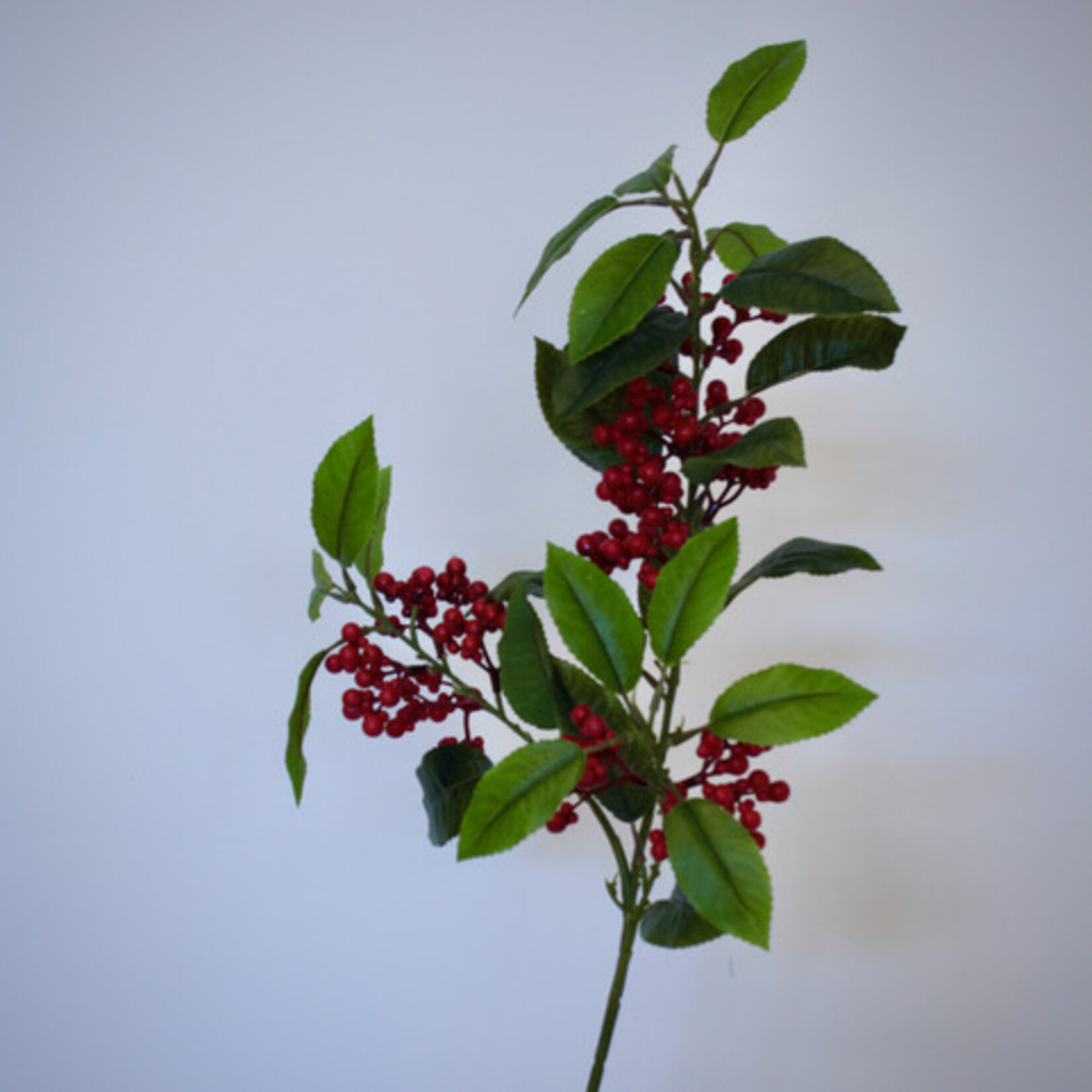 BERRY  SPRAY | RED | 88 CM