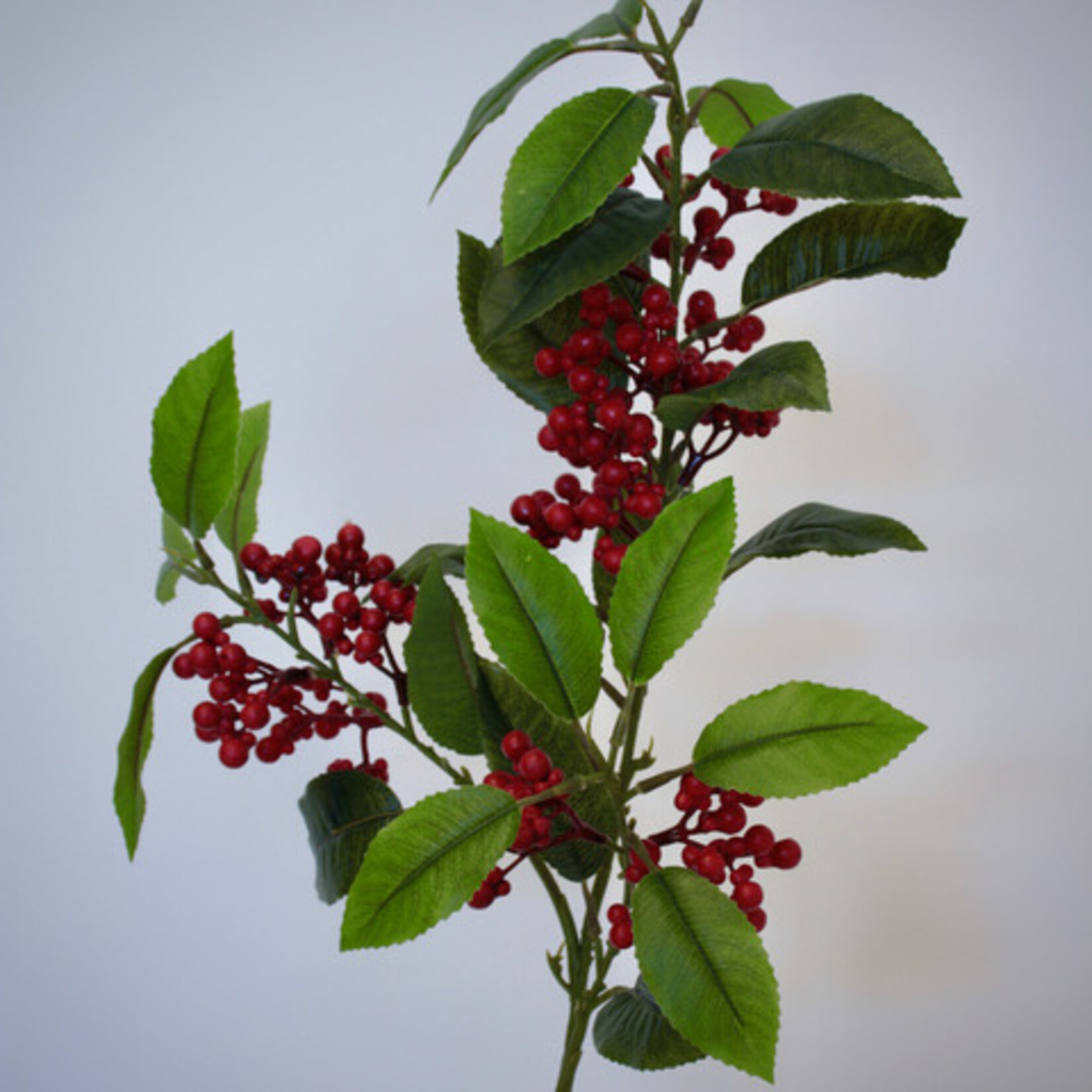 BESSENTAK | ROOD |  88 CM