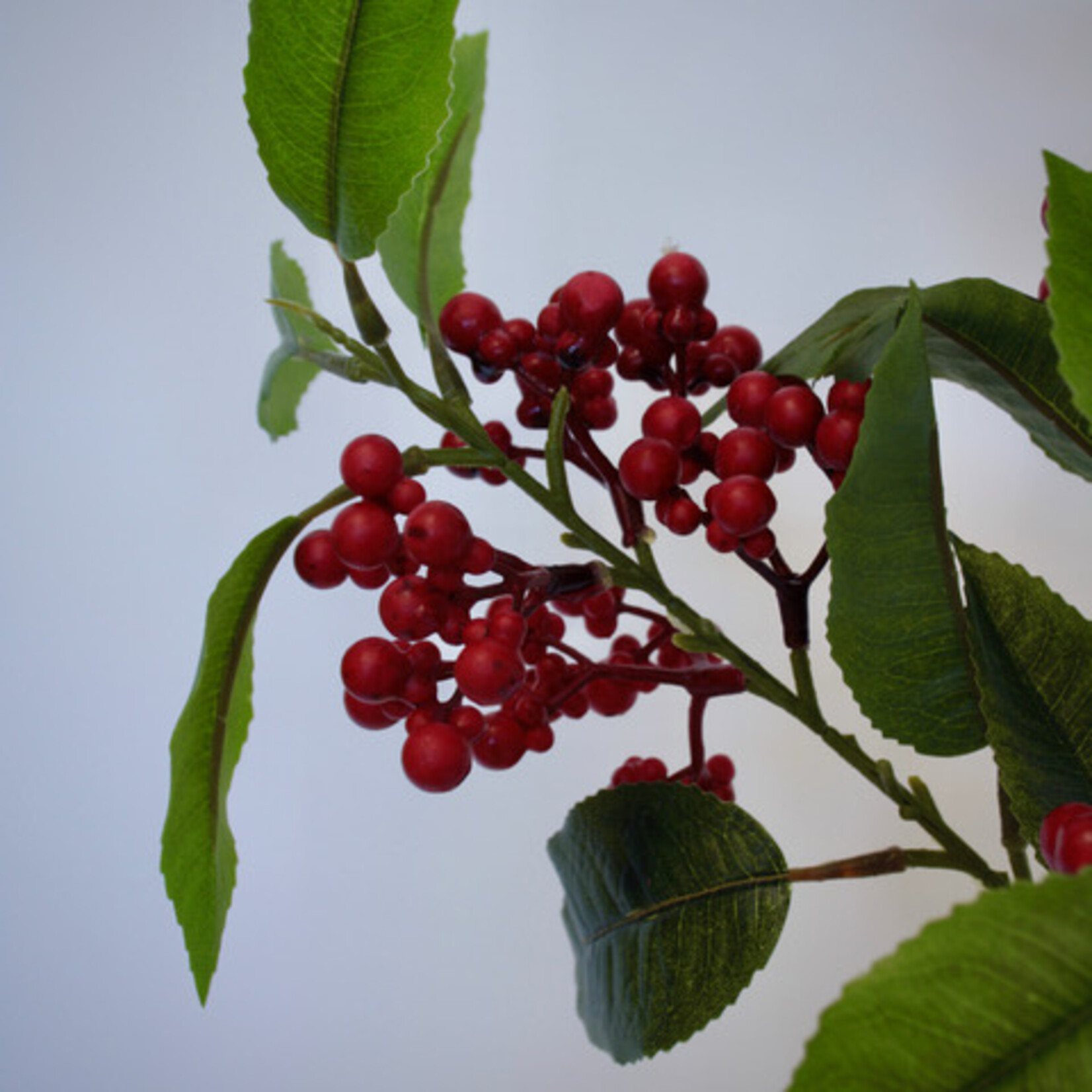 BERRY  SPRAY | RED | 88 CM