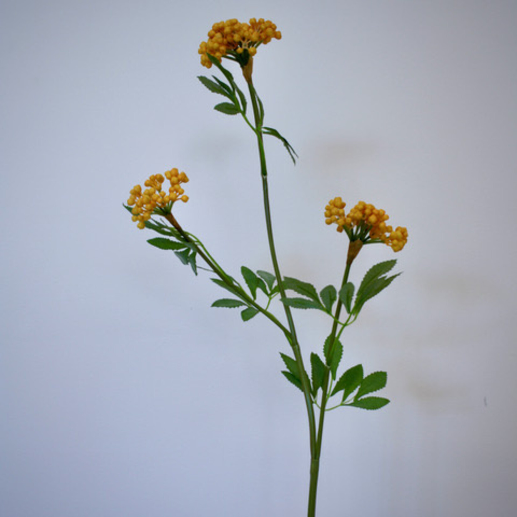 BERRY  SPRAY | YELLOW | 80 CM