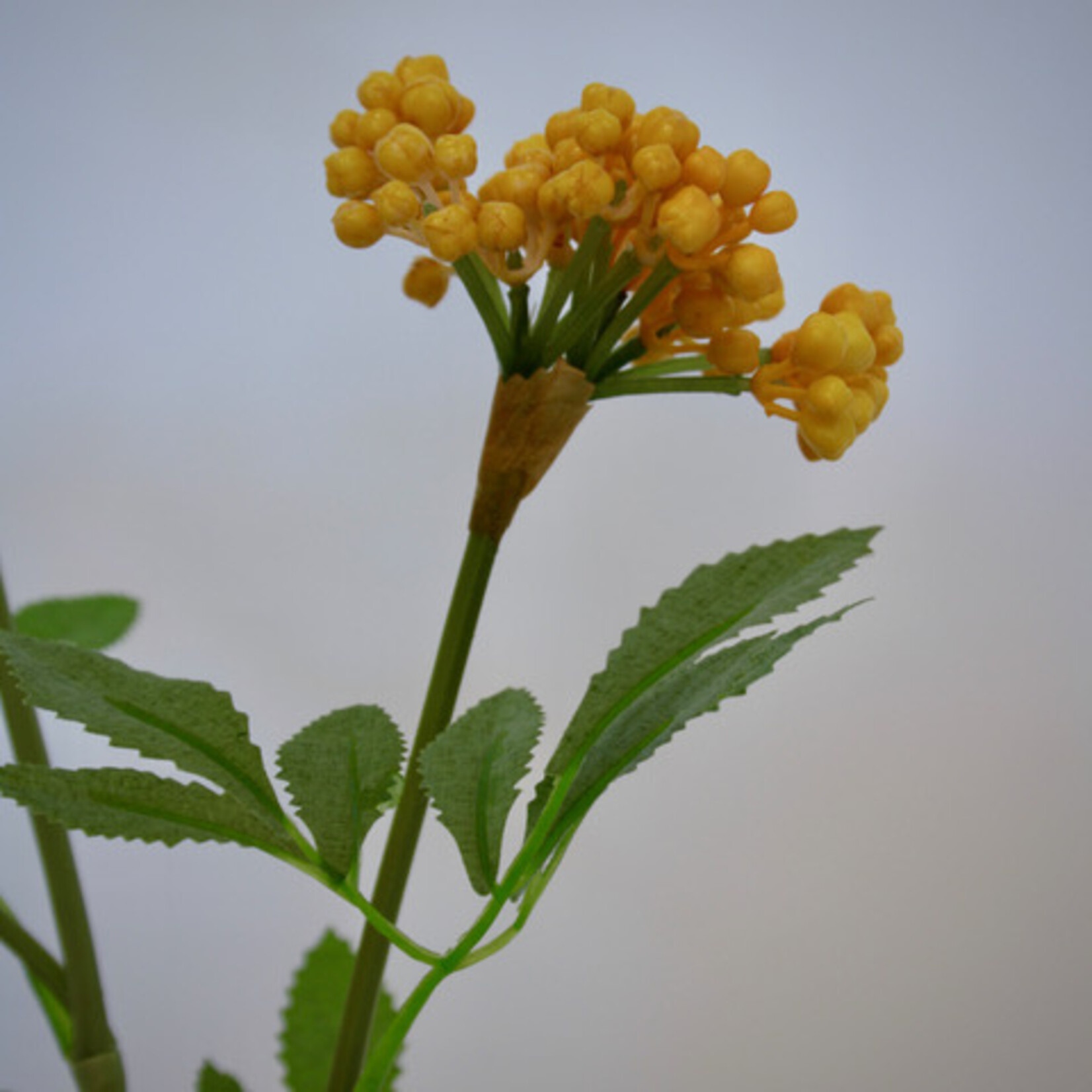 BERRY  SPRAY | YELLOW | 80 CM