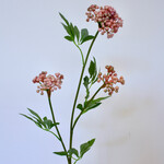 BERRY  SPRAY | PINK | 80 CM