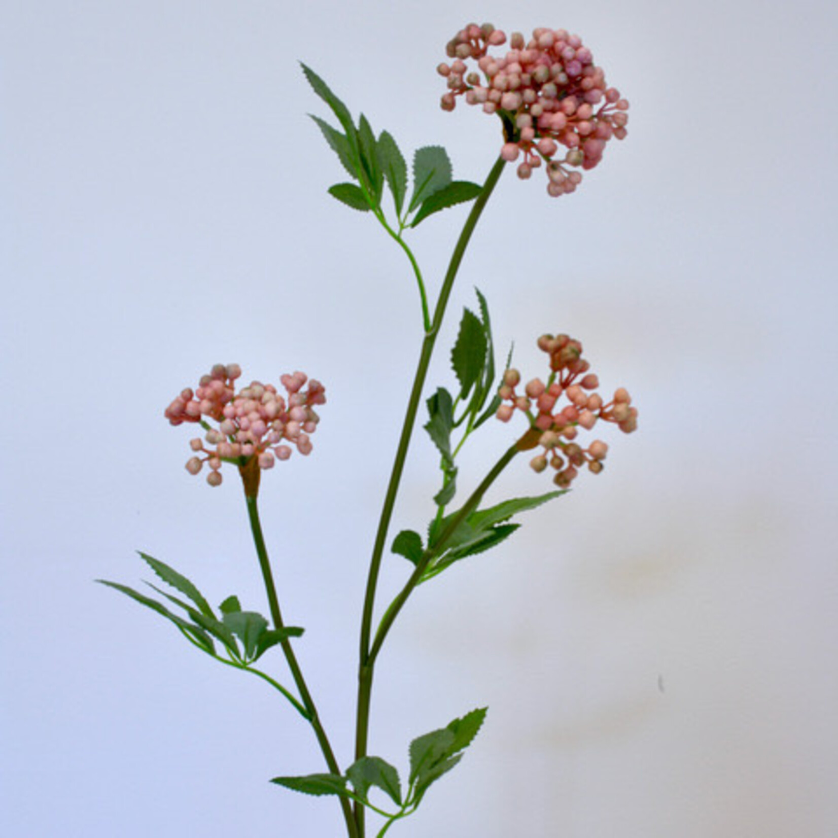 BERRY  SPRAY | PINK | 80 CM