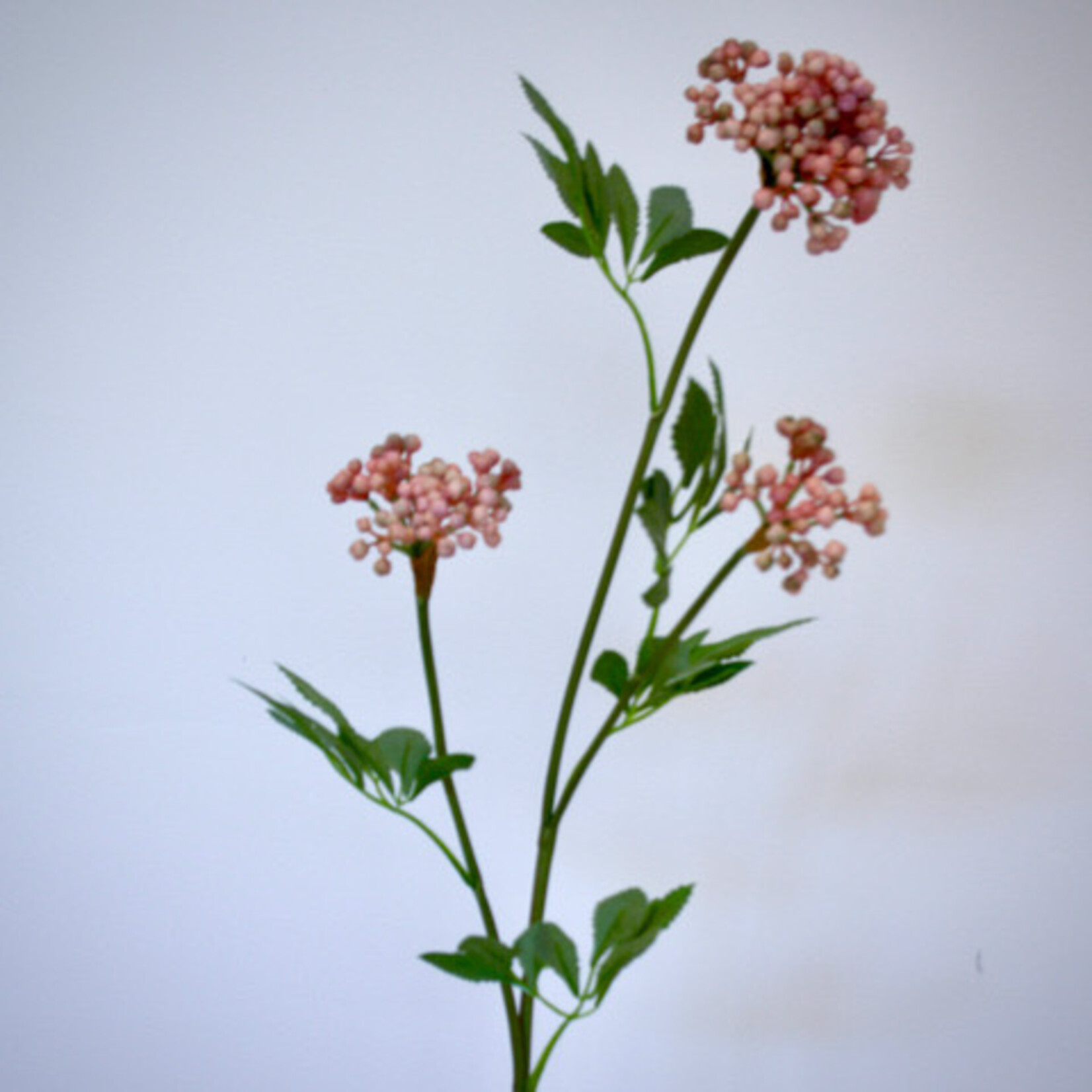 BERRY  SPRAY | PINK | 80 CM