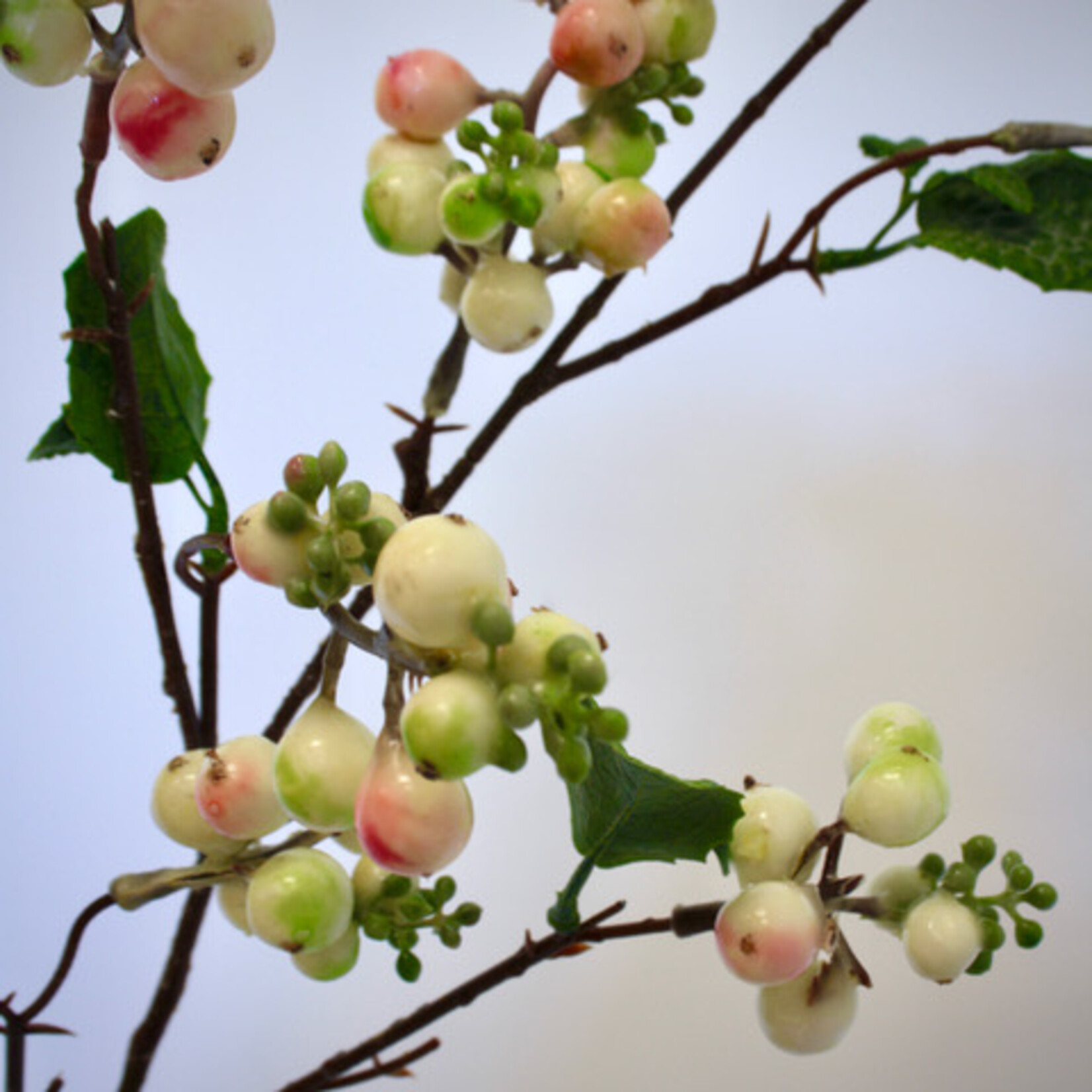 SNEEUWBES MOTHER OF PEARL| ROZE | 80 CM