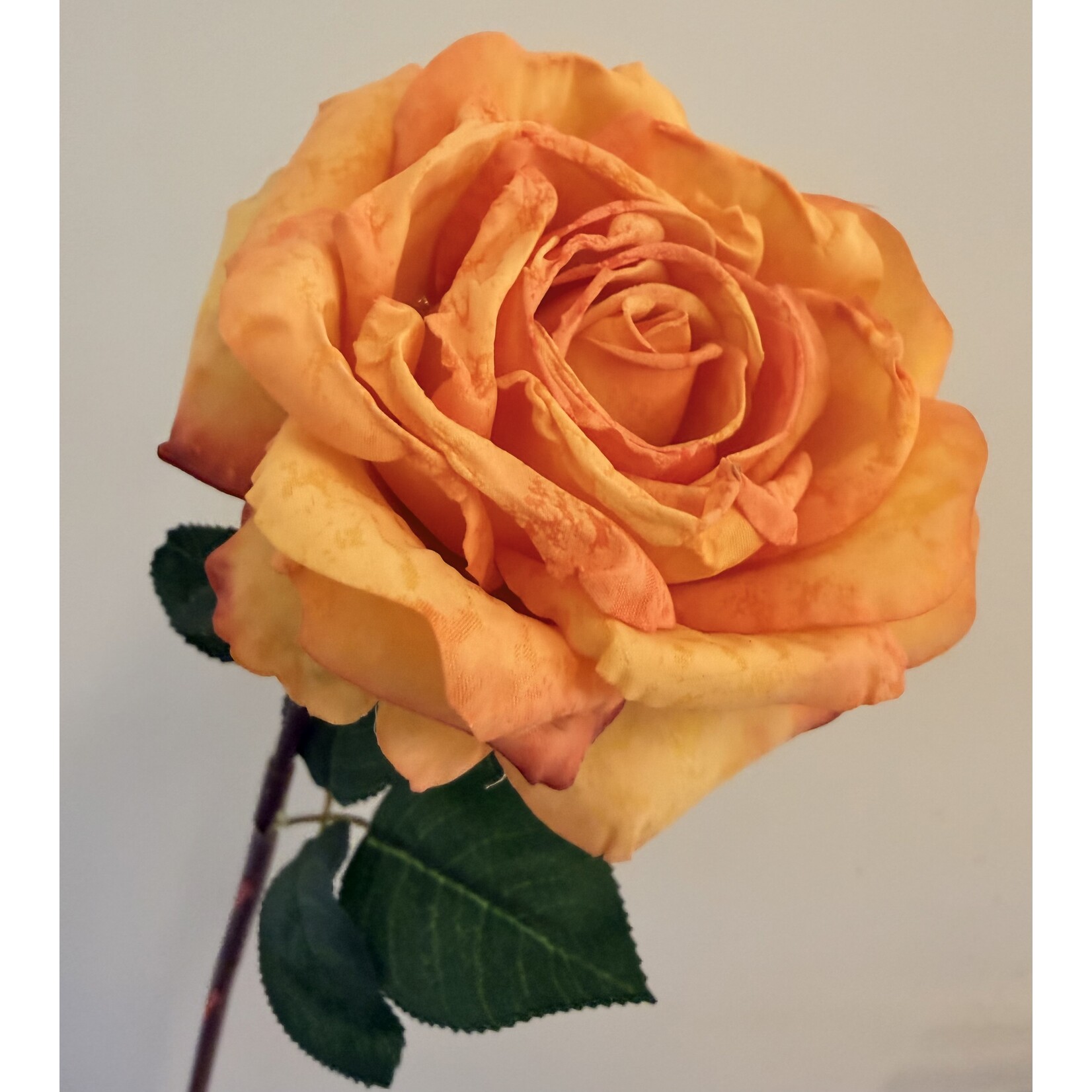 ROSE DEVOTED |ORANGE | 55 CM