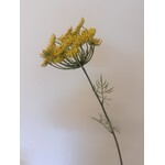 DILL | YELLOW | 67 CM