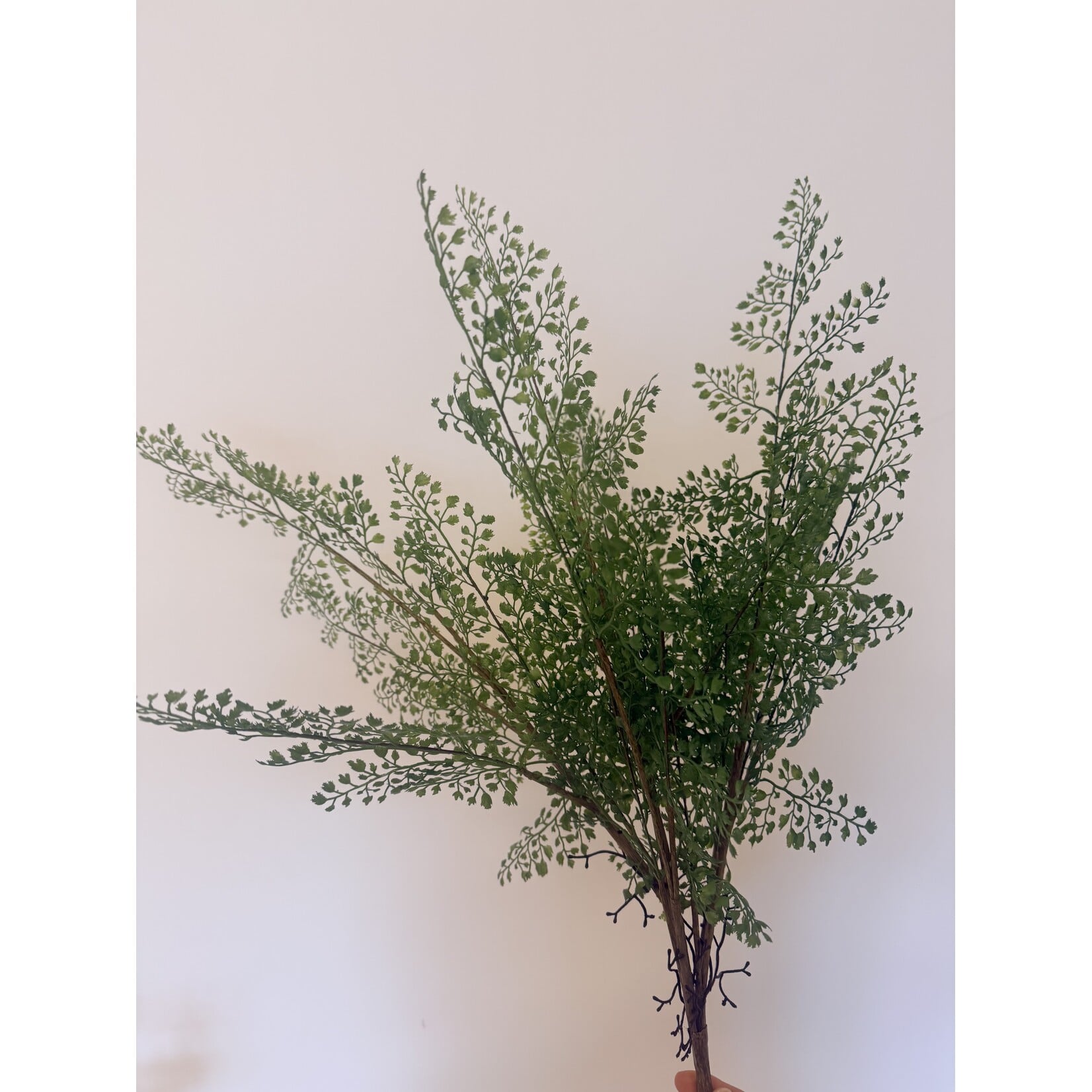 FERN PLANT | GREEN | 75 CM