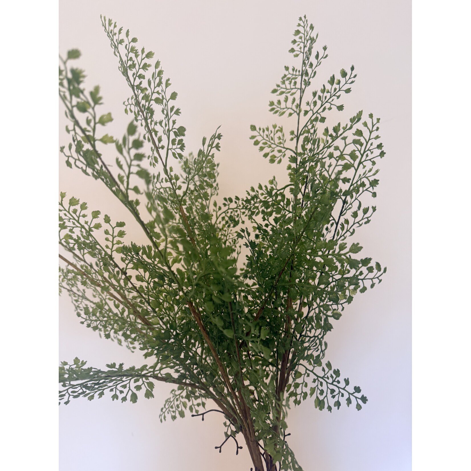 FERN PLANT | GREEN | 75 CM