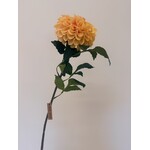 DAHLIA  | SALMON | 74 CM