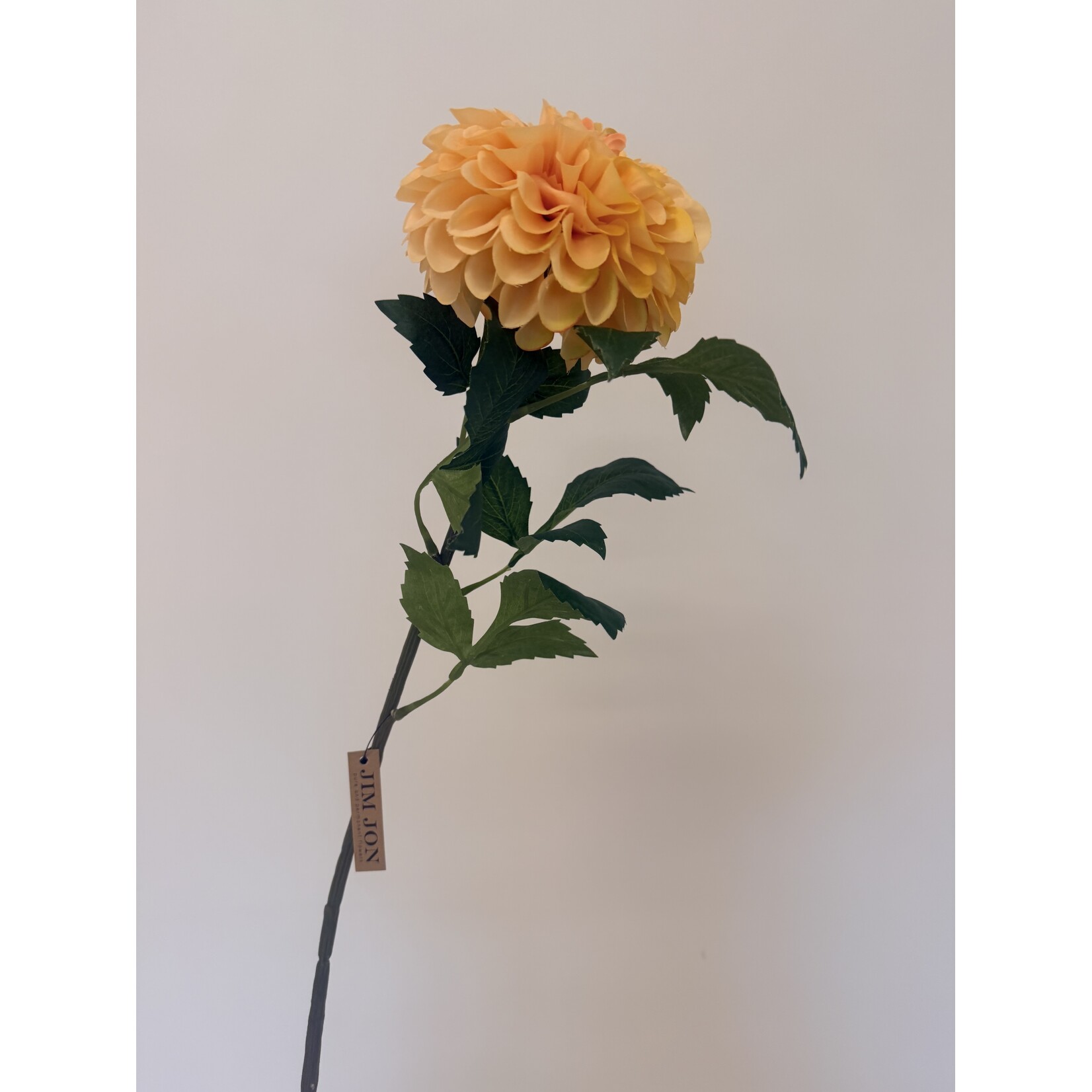 DAHLIA GO GO PEACH | SALMON | 74  CM