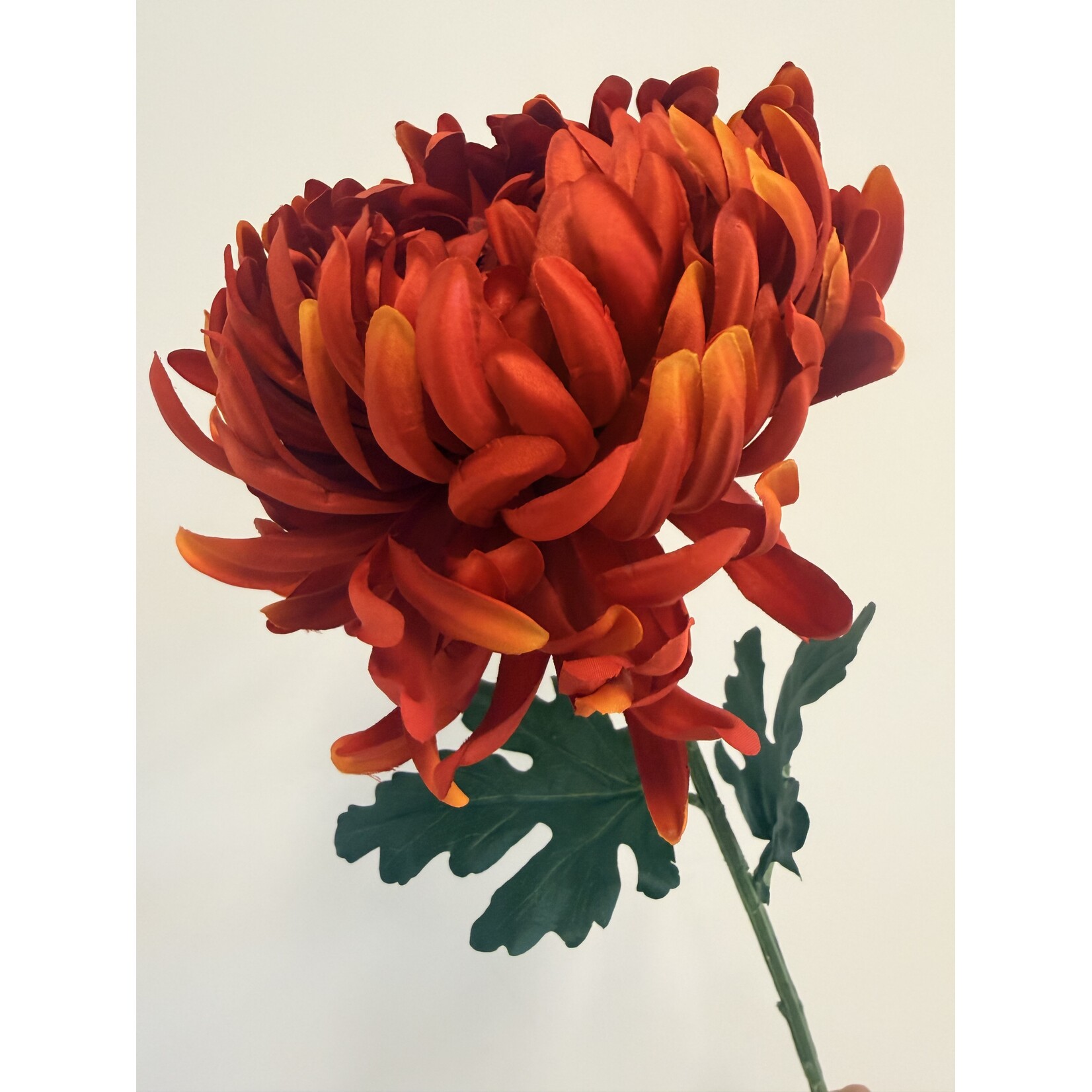 CHRYSANT XL | ORANJE ROOD | 80 CM