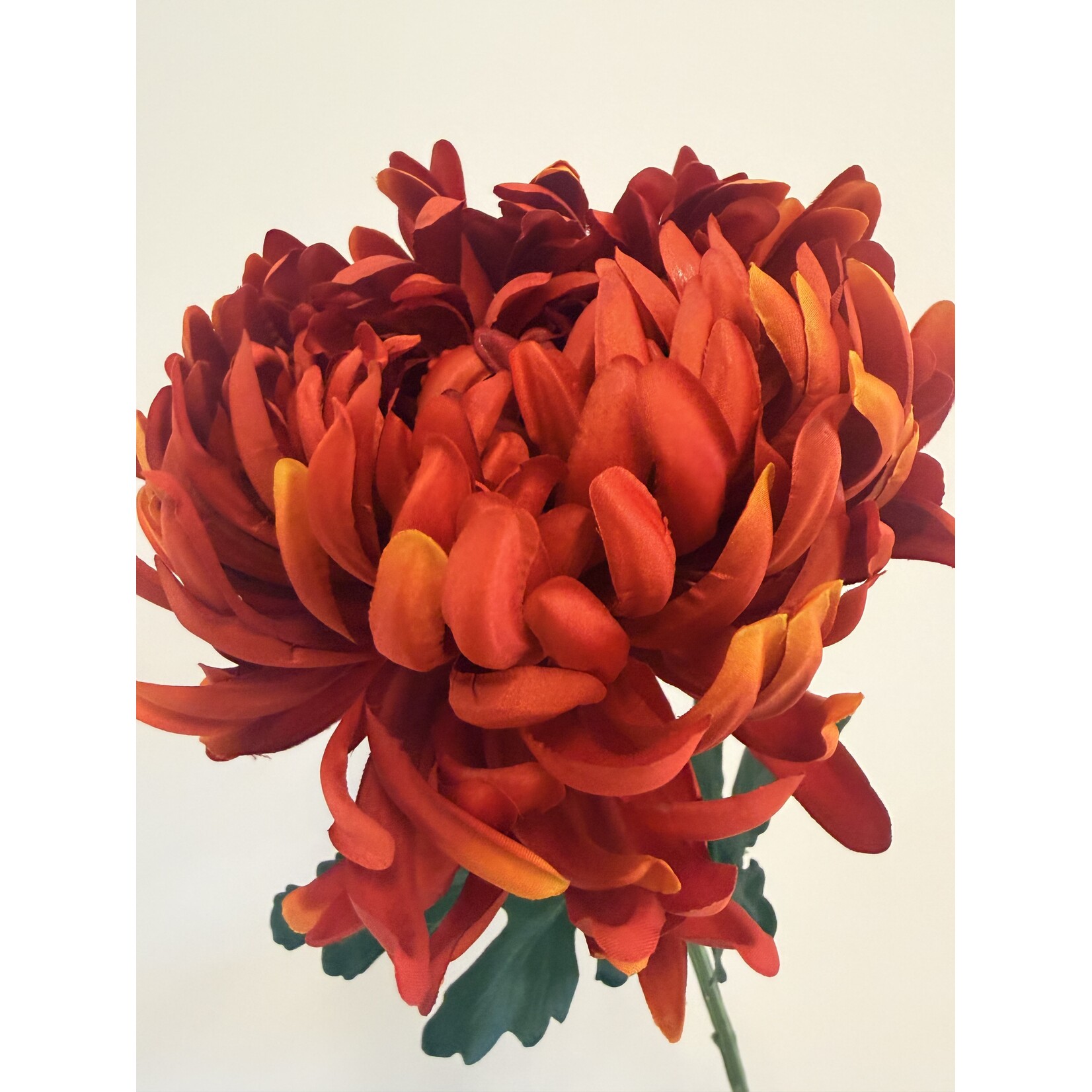 CHRYSANT XL| ORANGE RED | 80 CM