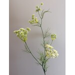 DILL | WHITE | 78 CM