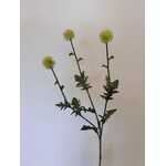 THISTLE | WHITE GREEN | 76 CM