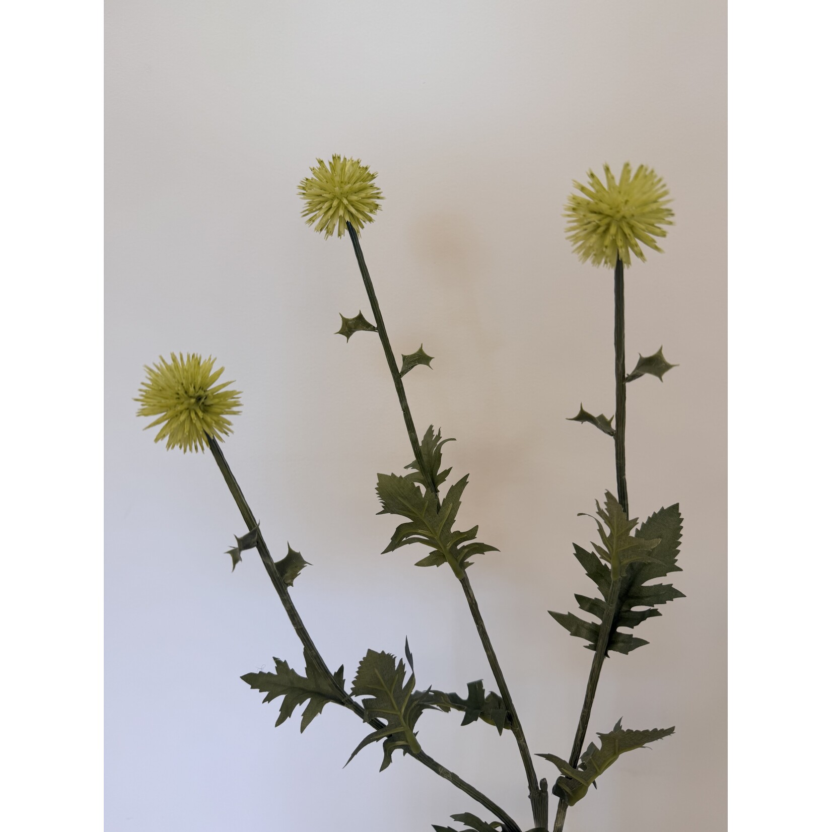 THISTLE | WHITE GREEN | 76 CM