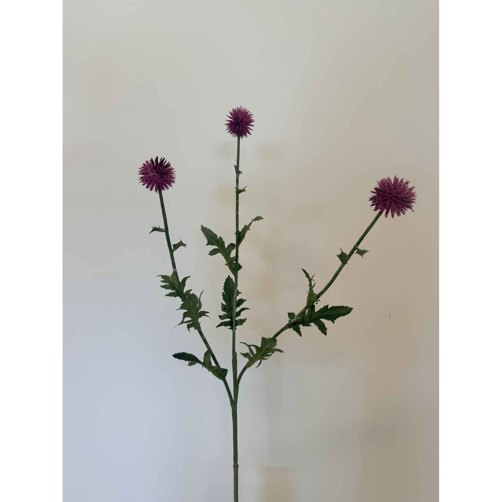 THISTLE | PINK | 76 CM