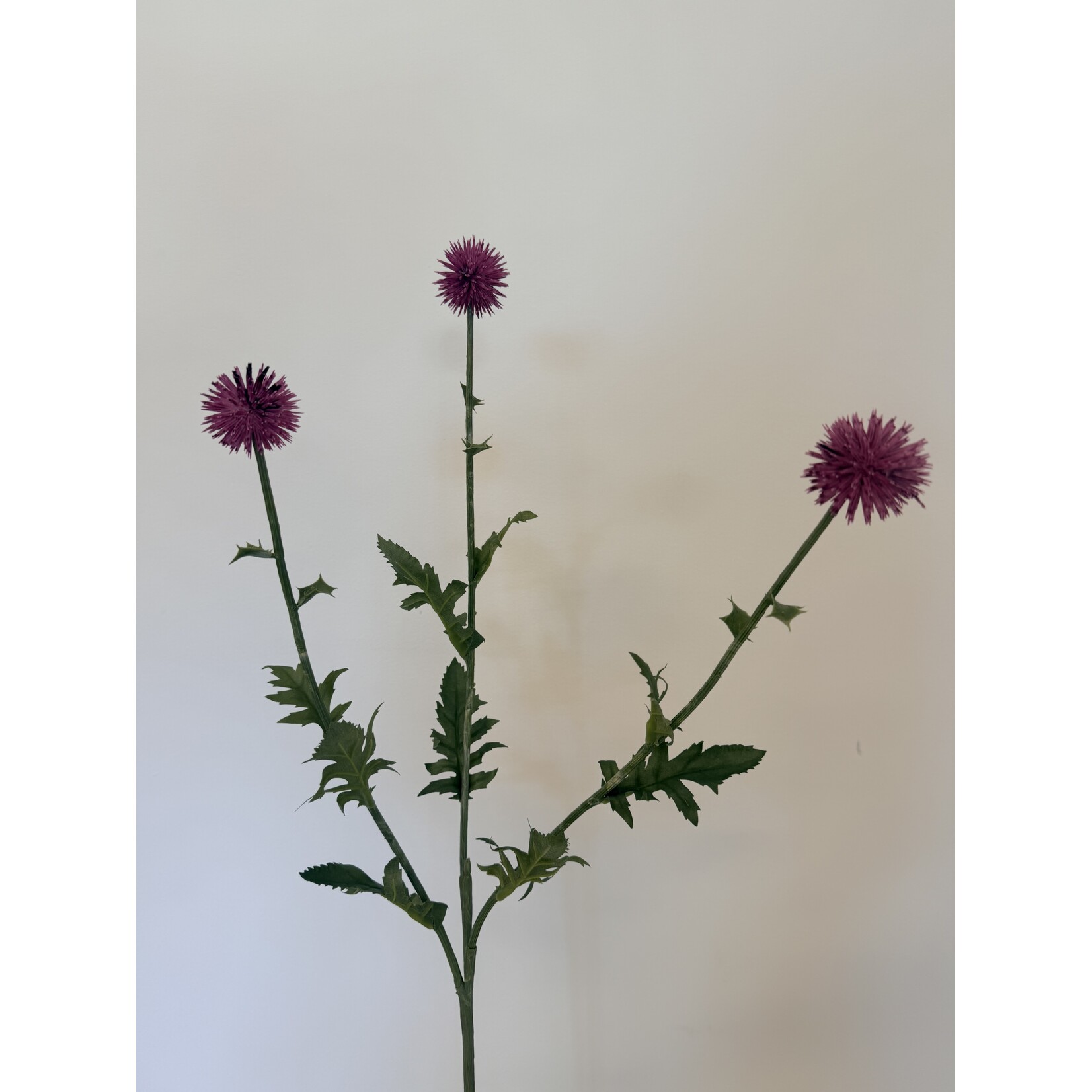 THISTLE | PINK | 76 CM