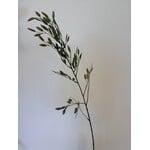 PLAT AARGRAS | GROEN | 98 CM