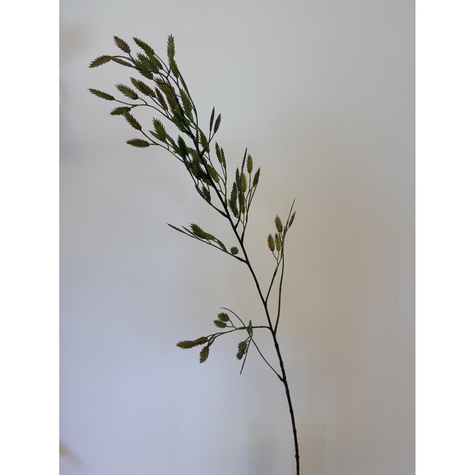 PLAT AARGRAS | GROEN | 98 CM