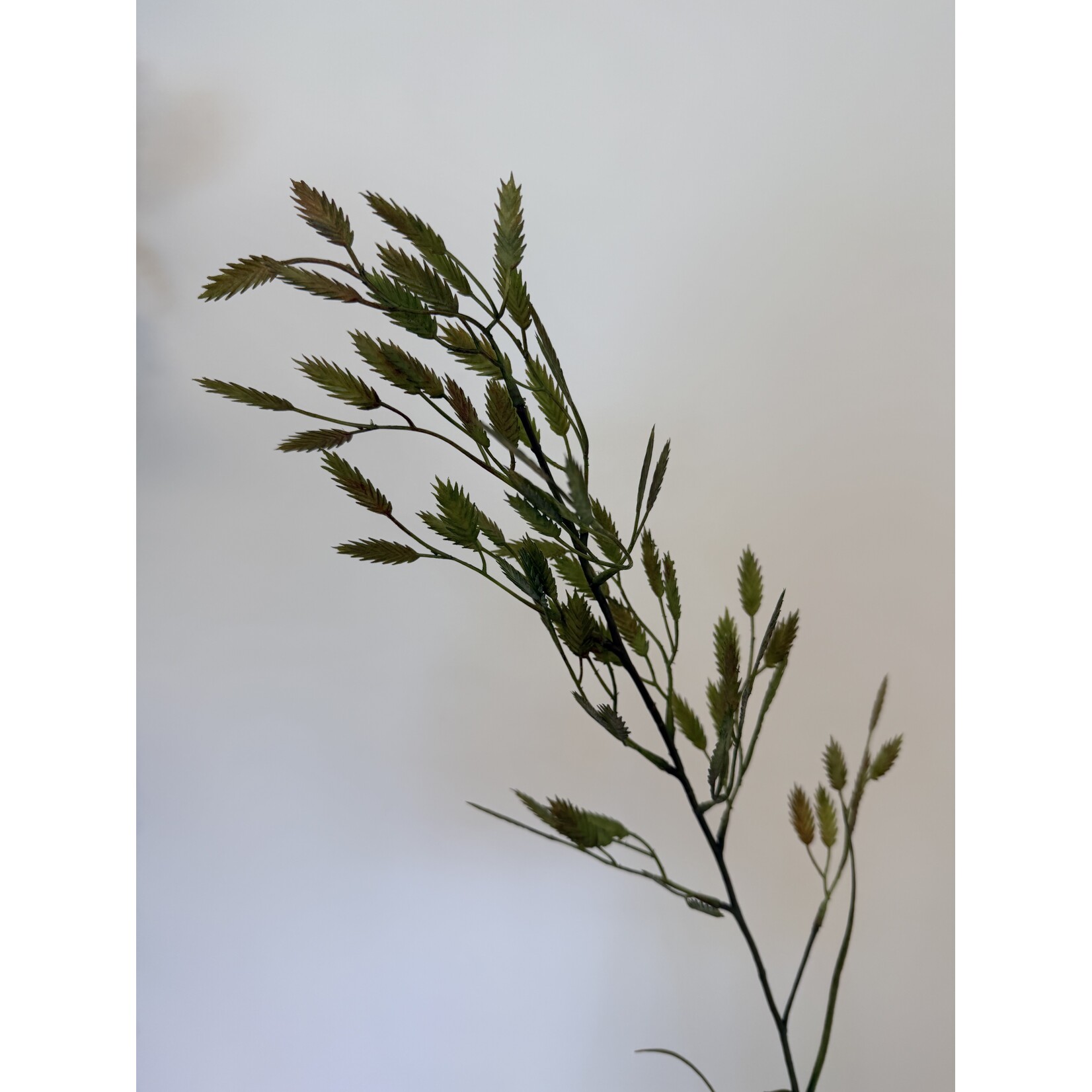 NORTHERN SEA OATS | GREEN | 98 CM
