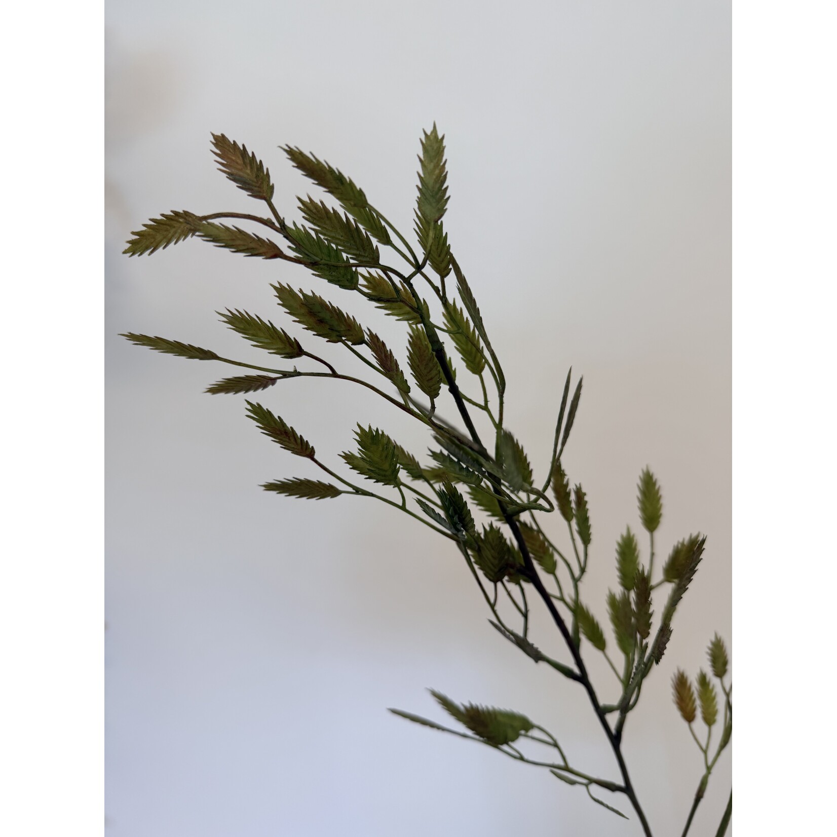PLAT AARGRAS | GROEN | 98 CM