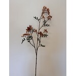 BESSEN TAK SORBUS | ORANJE | 111 CM
