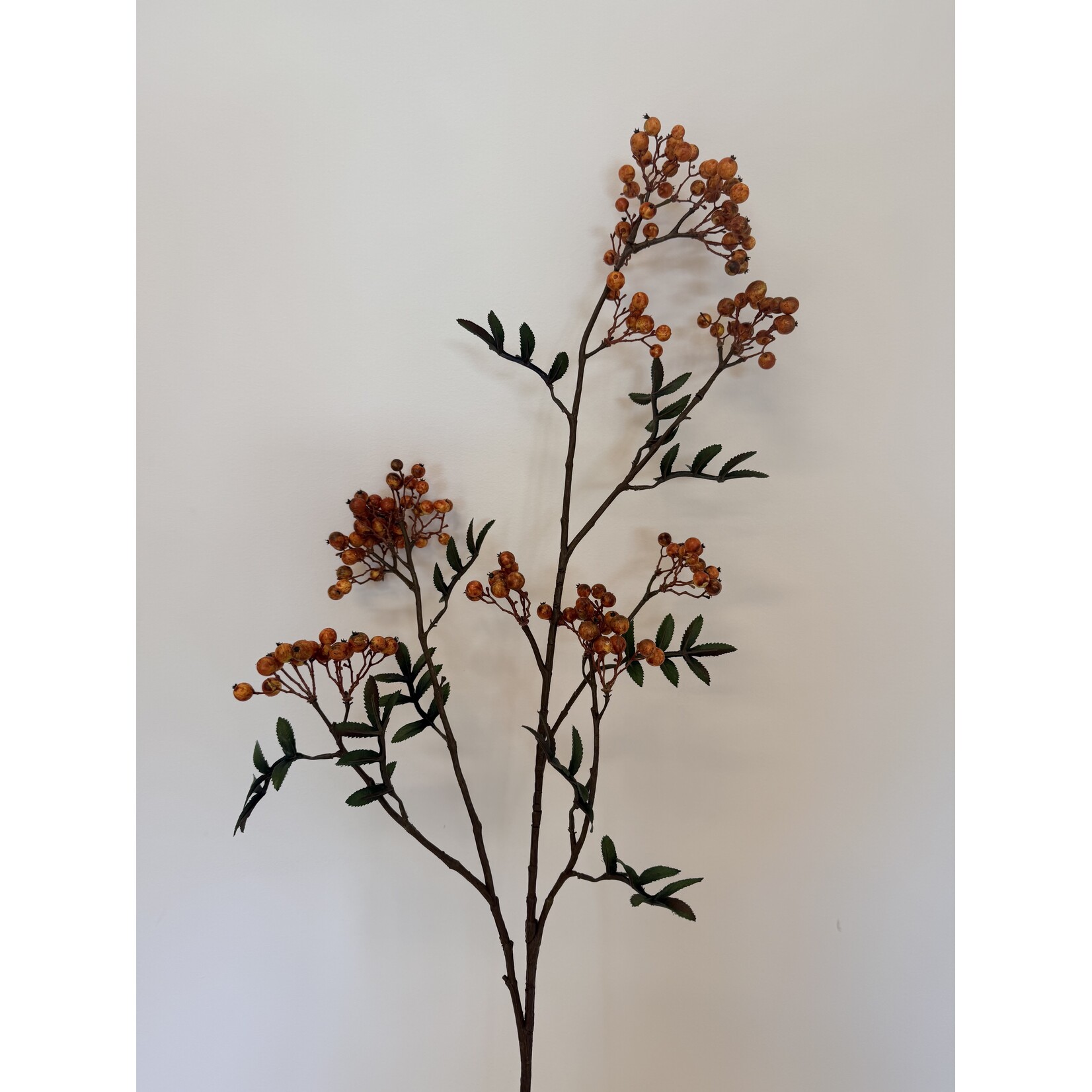 BESSEN TAK SORBUS | ORANJE | 111 CM