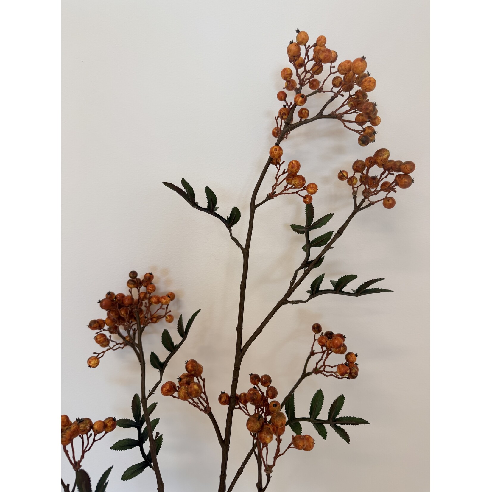 BESSEN TAK SORBUS | ORANJE | 111 CM