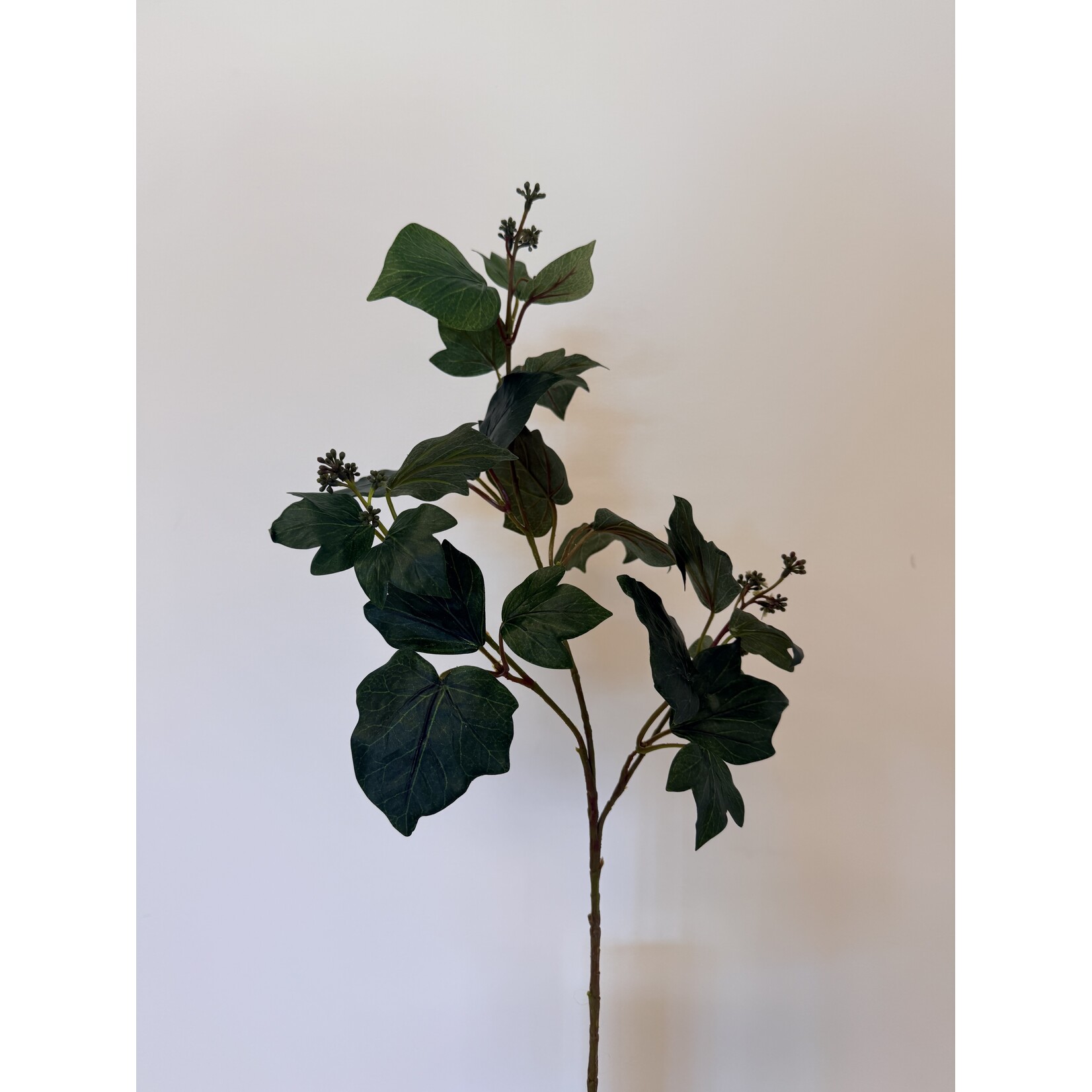 KLIMOP TAK | GROEN | 66 CM
