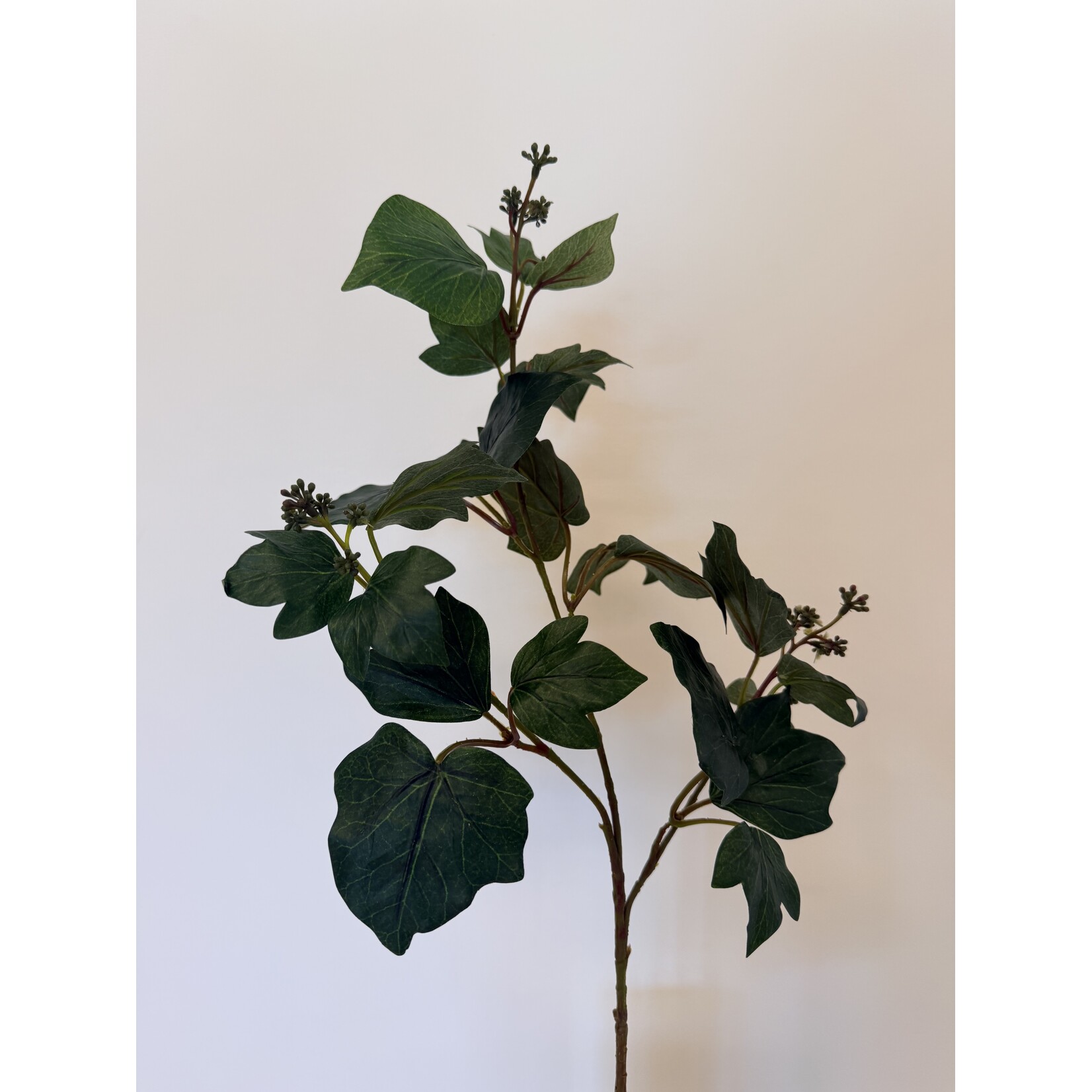 IVY BRANCH | GREEN | 66 CM