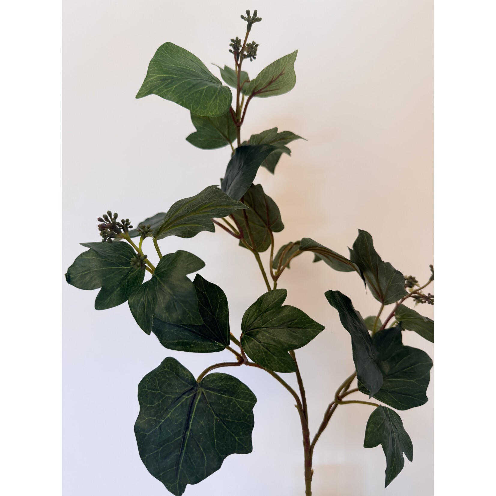 IVY BRANCH | GREEN | 66 CM
